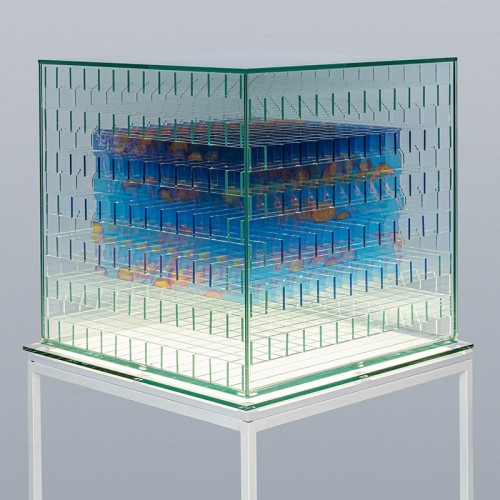 SYMMETRIA RETICULAR 1. MEDUSAS 2